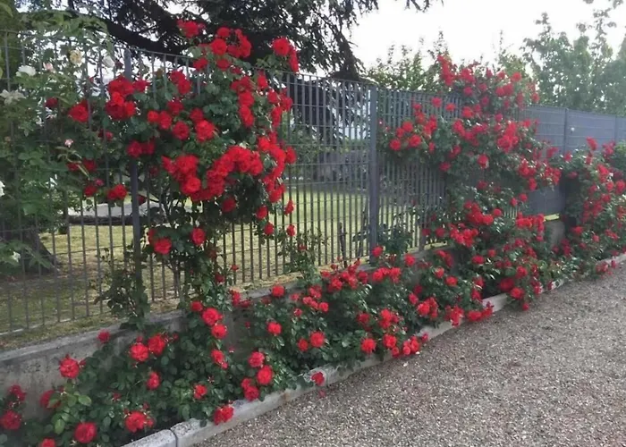 Tenuta La Rosa B&B Campi Bisenzio